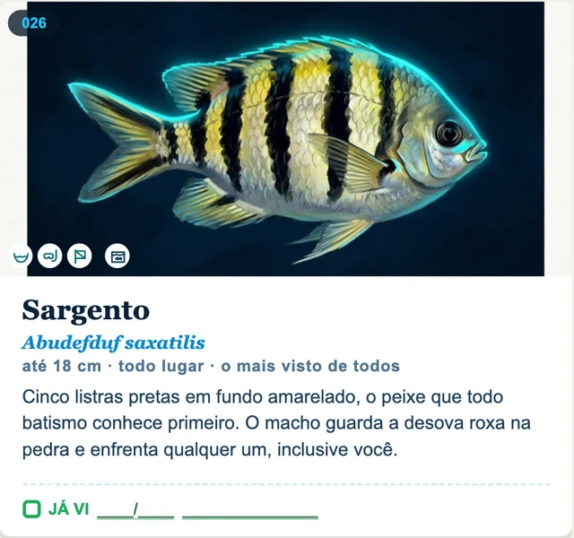 Ficha real do guia: sargento, Abudefduf saxatilis, com cinco listras pretas em fundo amarelado, selos de poça, snorkel, mergulho e aquarismo e o campo JÁ VI