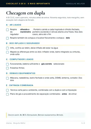 Checklist da checagem em dupla