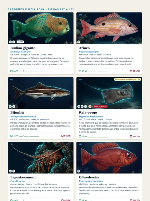 Página real do guia com fichas de peixes ilustradas e selos na foto
