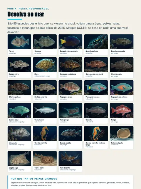 Página real do guia: Devolva ao mar, galeria das espécies protegidas