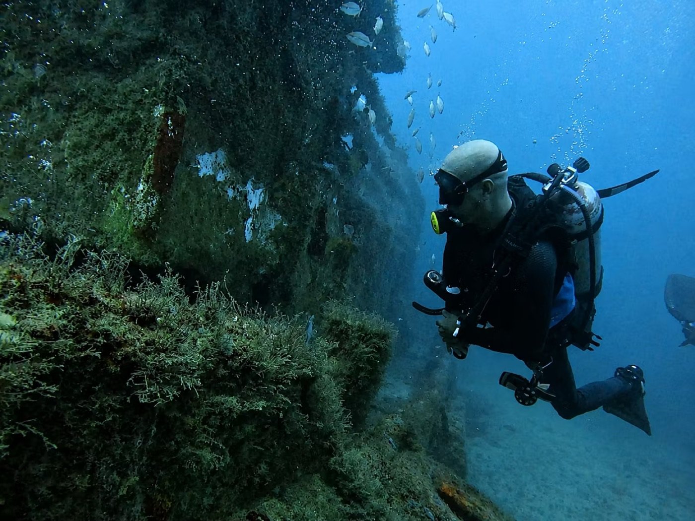 Detalhe do casco do rebocador Oceano com fauna marinha colonizando a superfície