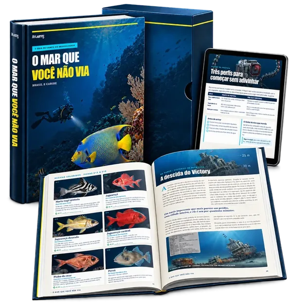 Guia O Mar Que Você Não Via, em PDF interativo