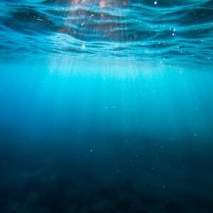 Scuba Review (Reciclagem)
