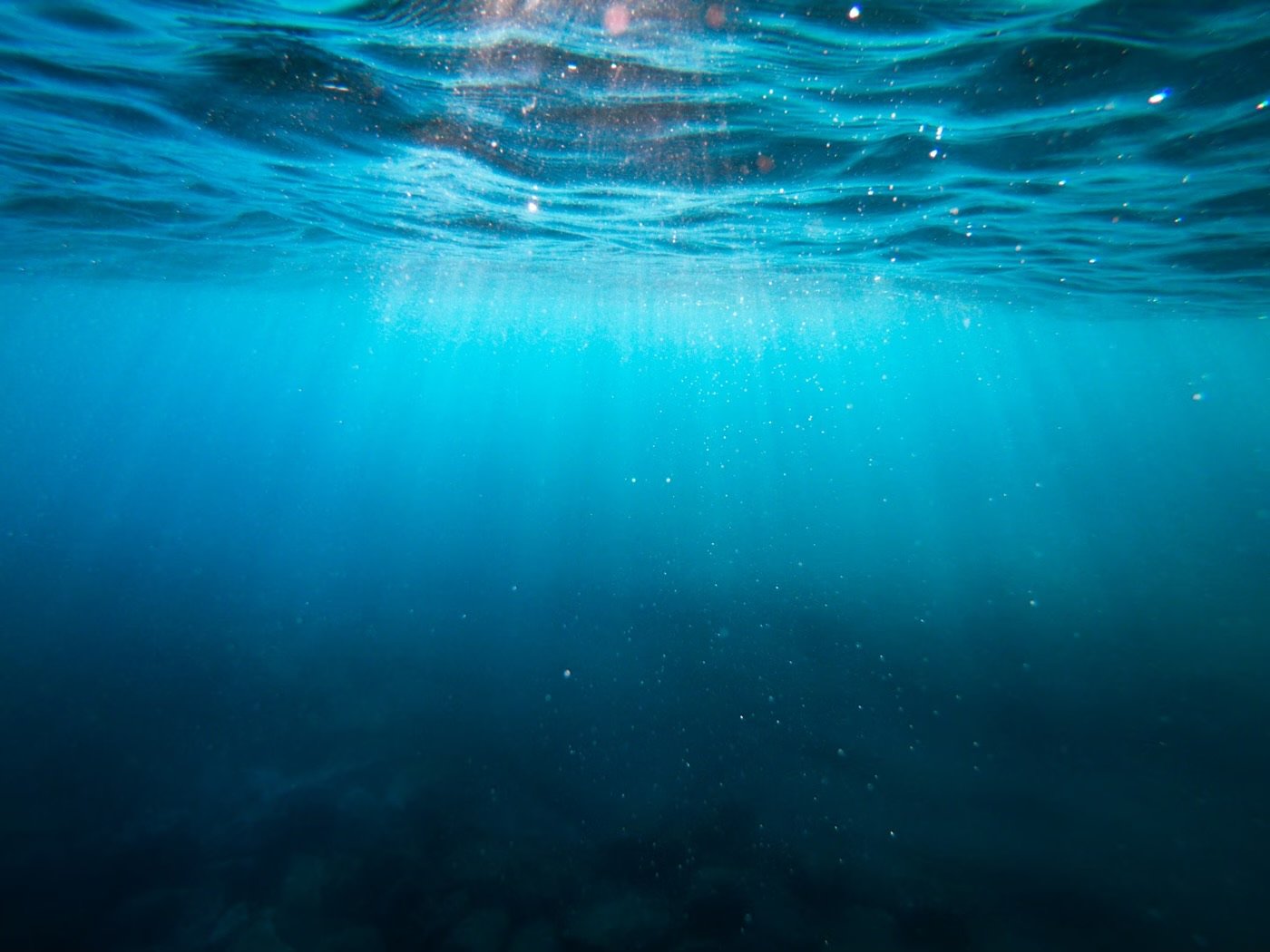 Scuba Review (Reciclagem)