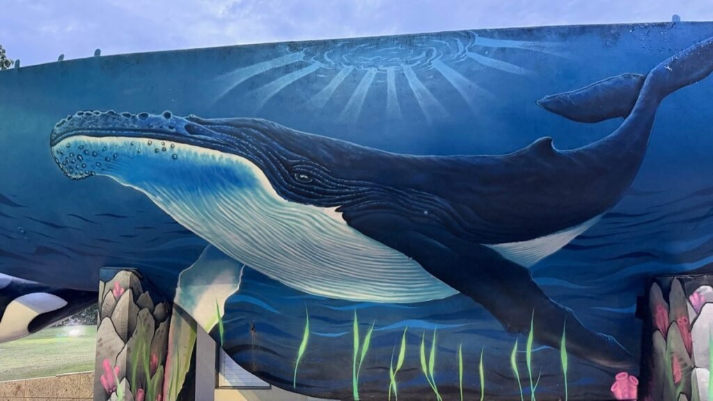 Mural de baleia jubarte no Espaco Baleia Jubarte, em Vitoria
