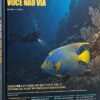 O Mar Que Você Não Via — Guia de Vida Marinha